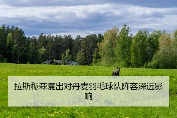 拉斯穆森复出对丹麦羽毛球队阵容深远影响